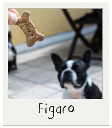 Figaro avec nos biscuits personnalisés